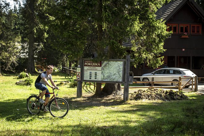 Pokljuka je v poletni vročini prijetno zatočišče za pohodnike in kolesarje, ki so veseli, če se lahko osvežijo s kislim mlekom.<br />
<br />
<em>FOTO</em> Voranc Vogel