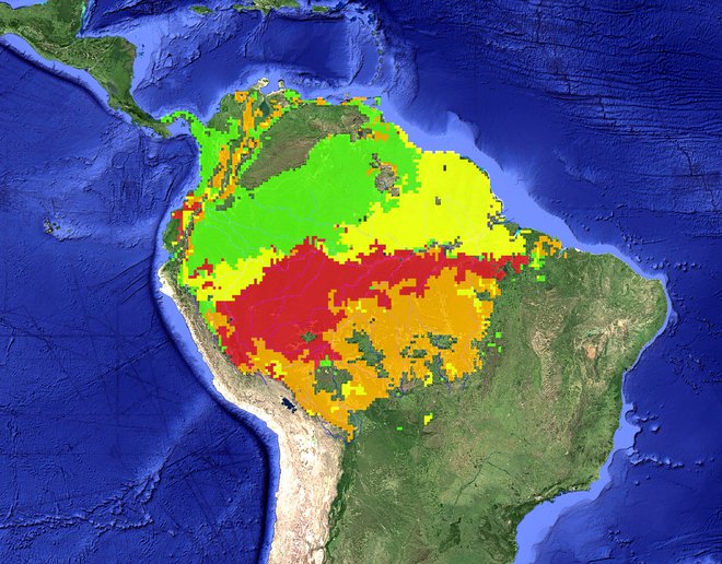 Območja, ki so bila leta 2005 prizadeta zaradi suše. Rumeno območje pomeni blago sušo, oranžno zmerno, rdeče hudo sušo. FOTO: NASA/JPL-Caltech /Google 