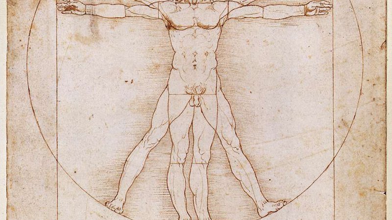Fotografija: Leonardo da Vinci: Moški po Vitruviju, 1492. FOTO: Wikipedia