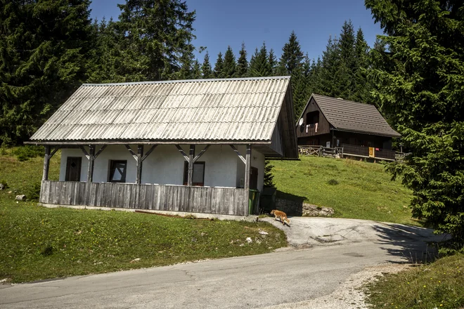 Včasih so se vse stezice na Goreljku stekale k sirarni, kjer je sirar sprejemal mleko in ga predelal v sir.<br />
<br />
<em>FOTO</em> Voranc Vogel