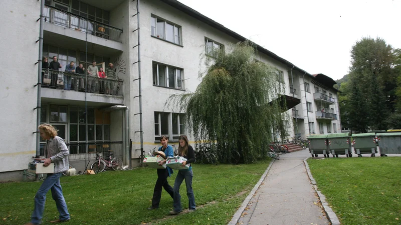 Fotografija: Šest tisoč prošenj so doslej prejeli v pisarni ljubljanskih študentskih domov. FOTO: Ljubo Vukelič