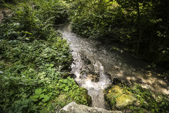 Na Bledu zaradi preobremenjenosti slabo deluje čistilna naprava. FOTO: Voranc Vogel/Delo