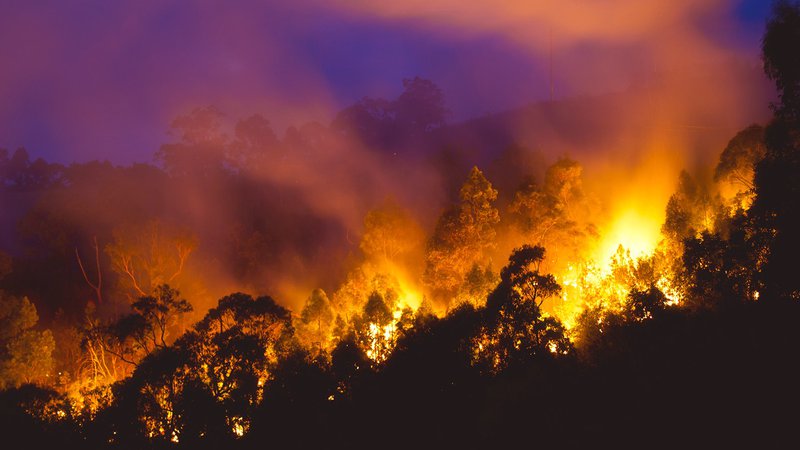 Fotografija: Požari so avgusta, ko je v Avstraliji zima, precej neobičajni. FOTO: Carbongrief.org
