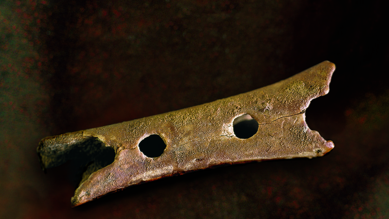 Fotografija: Najstarejše glasbilo na svetu, staro okrog 60.000 let. FOTO: LTO Laufar Cerkno