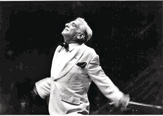 Bernstein Foto Uradna spletna stran