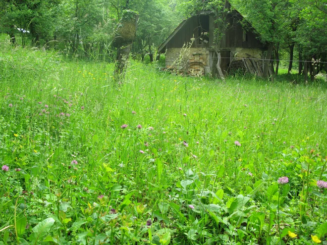 "Mop večinoma deluje kot podaljšek ministrstva za gospodarstvo" Foto Polona Malovrh