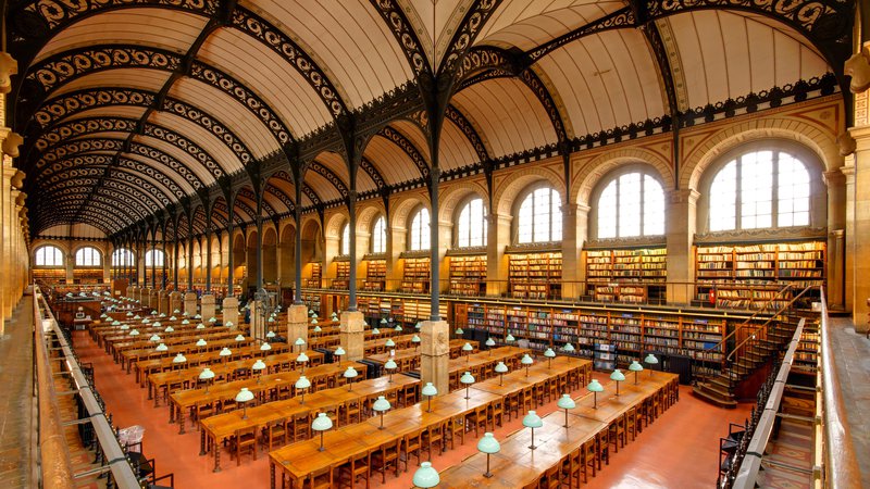 Fotografija: Velika čitalnica svete Genovefe v Parizu se zdi kot katedrala industrijske dobe – z obokano litoželezno konstrukcijo, značilno tudi za nakupovalne galerije in železniške postaje 19. stoletja.