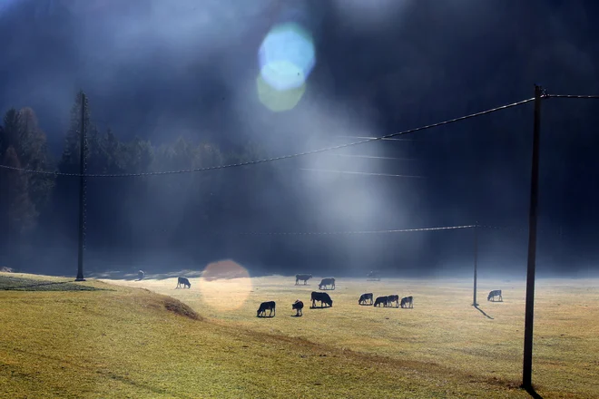 Narava je poskrbela, da so bile energetske razmere drugačne kot običajno. FOTO: Matej Družnik/Delo