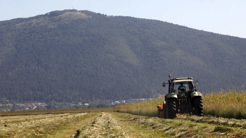 Fotografija: Prihodnja vlada obljublja, da bo subvencije osredotočila na aktivne kmete. Foto: Mavric Pivk