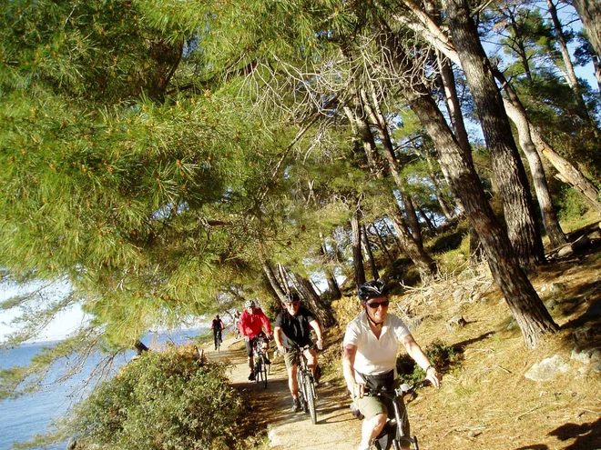 Aktivnim je namenjeno kolesarjenje po Kvarnerju. FOTO: Palma