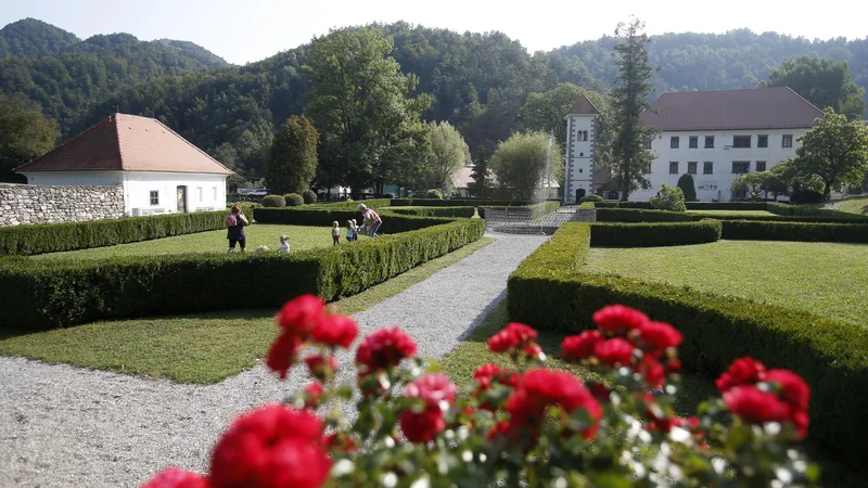 Fotografija: Polhograjsko graščino so v 90. letih prejšnjega stoletja povsem obnovili, tako da zdaj trdno stoji na travniku nad rečico Božno.
FOTO Blaž Samec