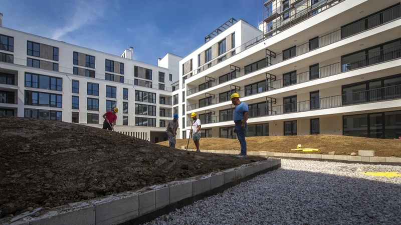 Fotografija: Vladni predlog bi prizadel tudi najemodajalce. Ti se bodo verjetno temu izogibali s prenosom posla na pravne osebe. Foto Blaž Samec