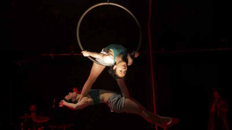 Zdi se, da je tudi ta vrsta zabave izgubila bitko s takojšnjim vzbujanjem razburljivih občutkov, ki jih ponuja splet. Cirkus umira na vzhodu in zahodu. FOTO: Jože Suhadolnik/Delo