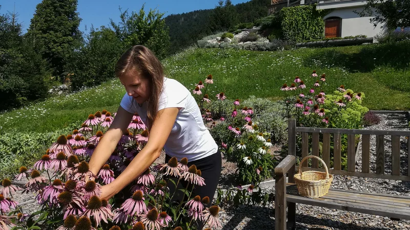 Fotografija: Cvetja ob hiši ne manjka. FOTO: Anja Intihar 