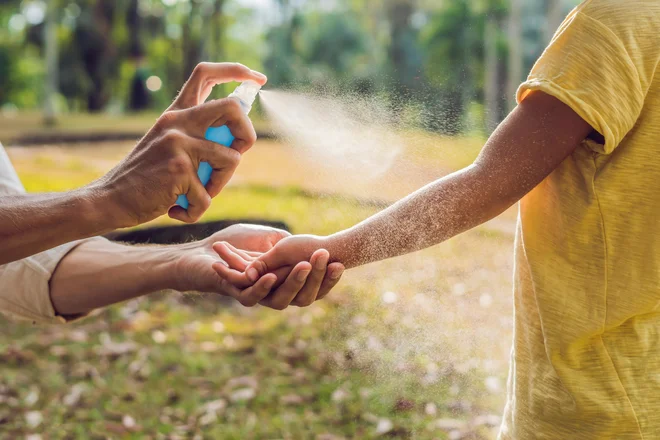 Najbolj učinkovit ukrep za zmanjšanje tveganja okužbe na območju, kjer kroži virus Zahodnega Nila, je preprečevanje pikov komarjev. FOTO: Shutterstock