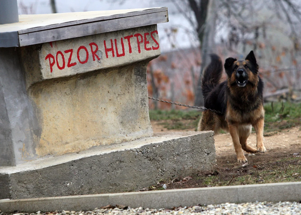 Fotografija: Problem splošne pismenosti je manjši, velik pa je problem funkcionalne nepismenosti, in to tudi v razvitem svetu. FOTO: Tadej Regent/Delo