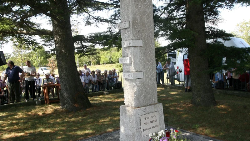 Fotografija: Bazoviški in podobni spomeniki predstavljajo dragocene in avtentične pomnike, je na slovesnosti med drugim povedala senatorka Tatjana Rojc. FOTO: Ljubo Vukelič/Delo