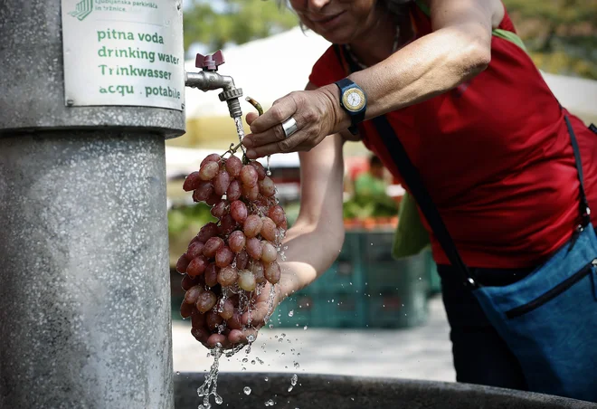 Pridelava zelenjave in sadja je bolj prijazna do okolja, saj porabi manj vode kot na primer živinoreja. FOTO: Blaž Samec/Delo