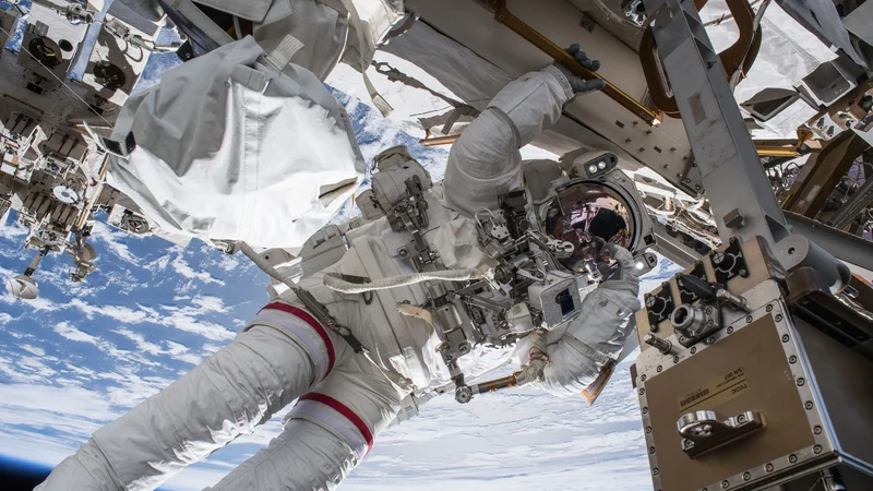 Fotografija: Vesolje je nevaren kraj. Sevanje, izolacija, zaprt prostor, oddaljenost od Zemlje ... Vse to lahko negativno vpliva na astronavte, zato so raziskave nujne, preden se ljudje odpravijo na dolgo potovanje do Marsa. FOTO: Nasa