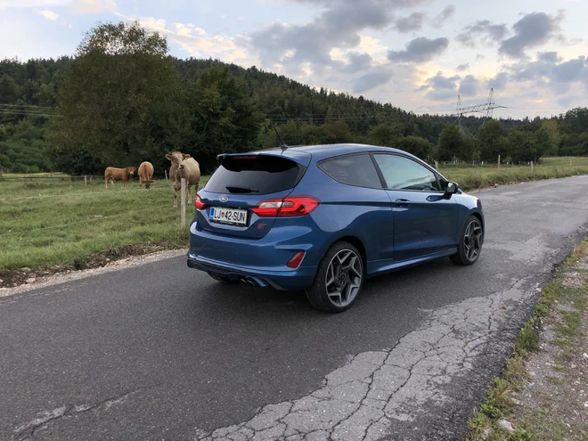 Do stotice zmore v 6,5 sekunde, končno hitrost doseže pri 232 kilometrih na uro. FOTO: Aljaž Vrabec