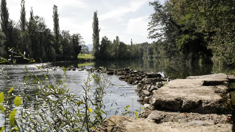 Fotografija: Ravnanje nekaterih nevladnikov pomeni izigravanje načel pravne države. To škoduje tako pribežnikom kot državi. 