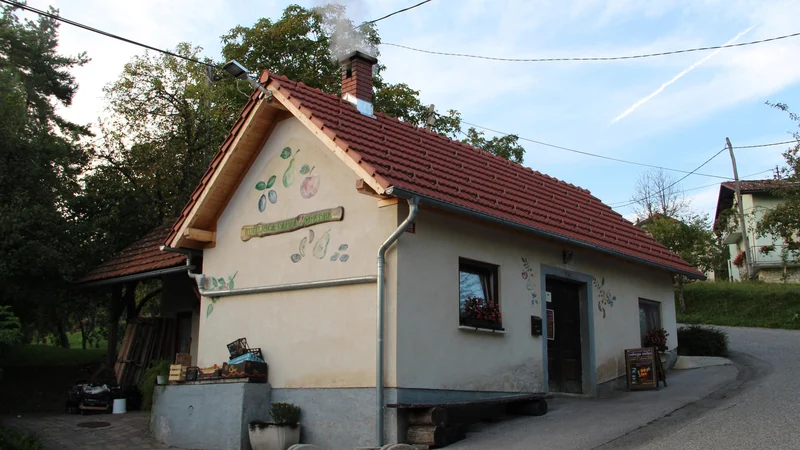 Fotografija: Sušilnica sadja na Gradežu obratuje od konca avgusta do sredine decembra. Foto Simona Fajfar