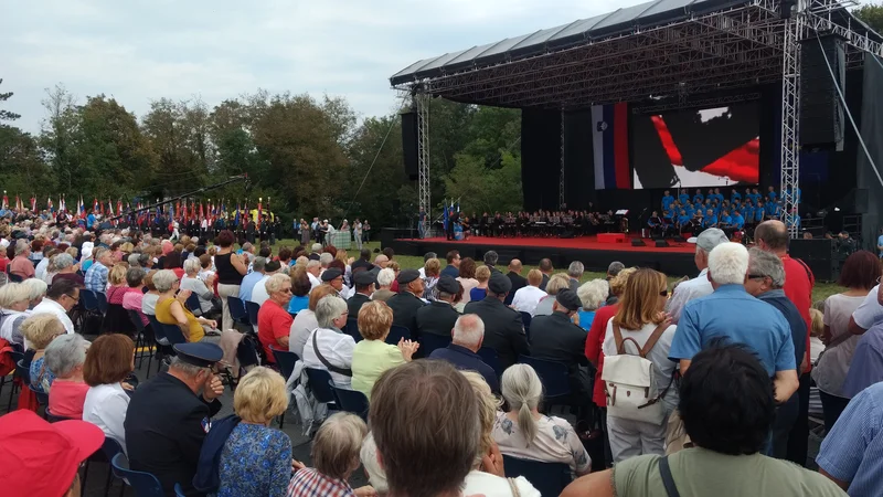 Fotografija: Priključitev Primorske domovini je državni praznik. Foto Blaž Močnik