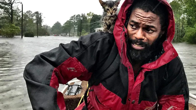 Fotografija: Robert Simmons in mucek Survivor
FOTO: Andrew Carter/The News & Observer/AP