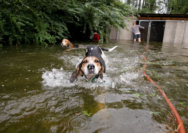 FOTO: Jonathan Drake/Reuters