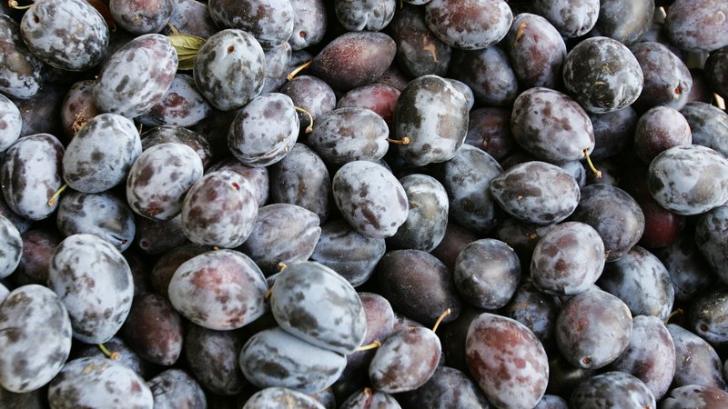 Fotografija: Izkoristimo sezono, kajti temno obarvano sadje je bogato z antociani in flavonoidi, ki krepijo zdravje možganov. Foto Igor Modic