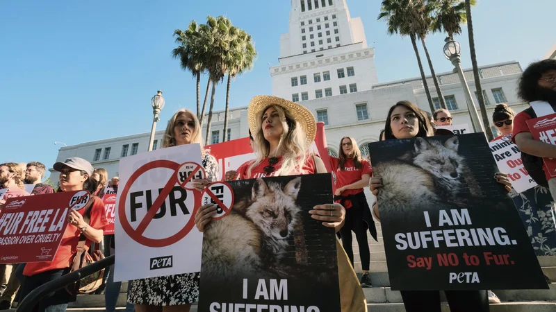 Fotografija: V kolikor bo zakon stopil v veljavo, bo Los Angeles postalo največje ameriško mesto, ki bi prepovedalo prodajo krznenih produktov. FOTO: Richard Vogel/Ap