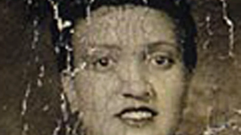 Fotografija: FOTO: Wikipedija
Celice Henriette Lacks še vedno živijo.