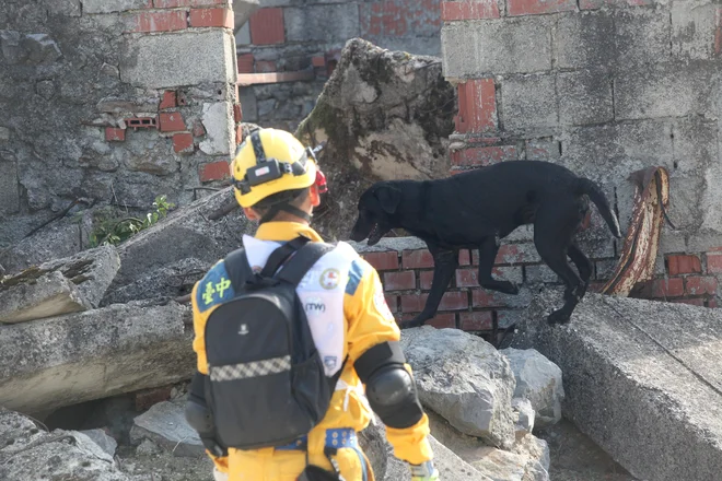 Na svetovnem prvenstvu sodelujejo tekmovalci iz 26 držav. FOTO: Mavric Pivk, Delo