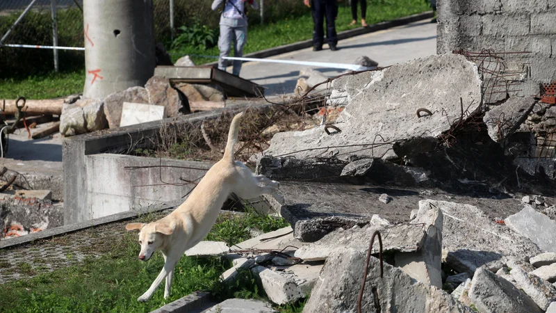 Fotografija: Osemletna Kira je dala vse od sebe. FOTO: Mavric Pivk, Delo