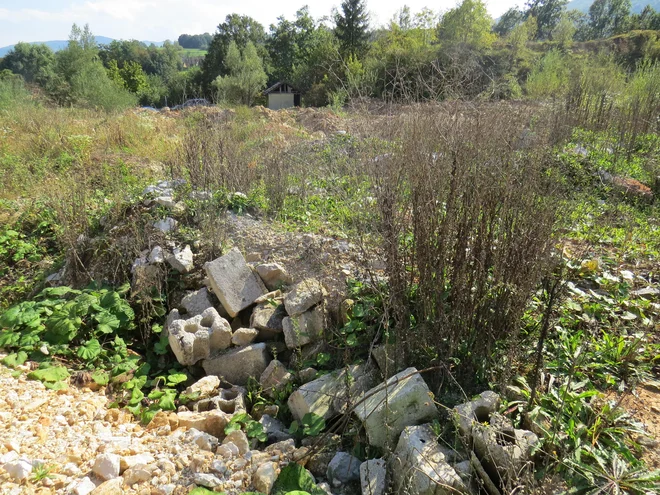 Pri domnevni odstranitvi inertnih odpadkov z bodočega poligona so bili sila površni, saj betonski stebri, cementni izdelki, kosi asfalta in gradbeno železje ležijo vsevprek. FOTO: Bojan Rajšek/Delo