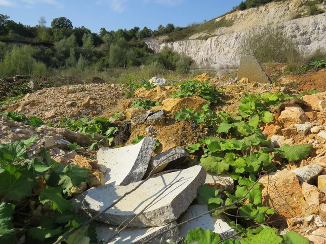 FOTO: Bojan Rajšek/Delo