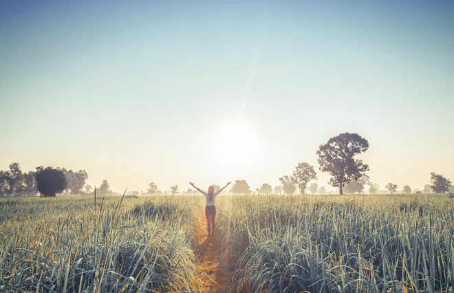 Vse to tudi za vse tiste mestne ljudi, ki se niti ne zavedajo, da imajo tudi oni krušno mater. FOTO: shutterstock.com
