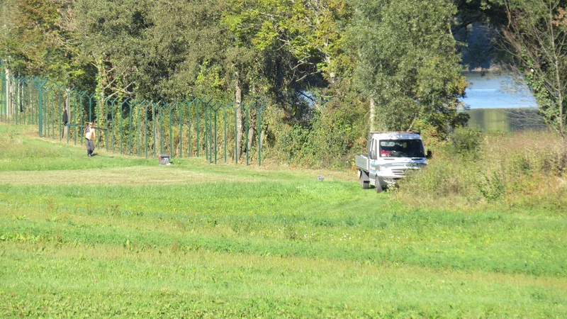 Fotografija: Tehnične ovire so začeli na novo postavljati od Prokšljevega mlina v Učakovcih gorvodno proti Vukovcem. FOTO: Bojan Rajšek/Delo