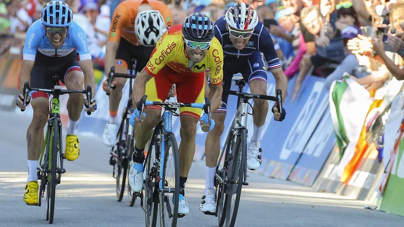 Fotografija: Alejandro Valverde je v šprintu premagal Romaina Bardeta in Michaela Woodsa. FOTO: Jože Suhadolnik/Delo