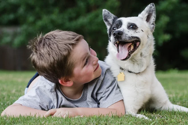 Zapuščene kužke je začel reševati pri štirih letih. FOTO: Shutterstock