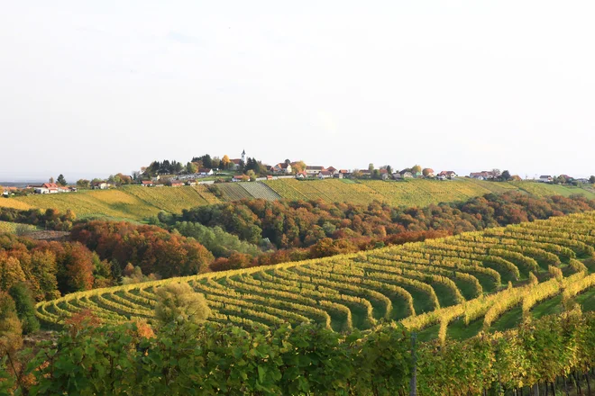 Kog, skriti biser sredi vinogradniške Prlekije. FOTO: Sonja Kamplet Rotar
