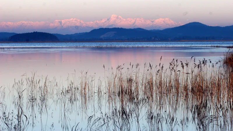 Fotografija: Takole je Cerkniško jezero videti pozimi, ko je napolnjeno z vodo. A tudi zdaj, ko vode skoraj ni, umirjena pokrajina v jesenskih odtenkih, zlasti gledano z višine, jemlje dih. Foto Mavric Pivk/Delo