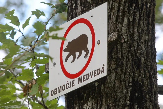 Visoko - Kurescek, 2.7.2014, na Visokem imajo novo domaco zival - Medveda. Foto: Marko Feist Foto Marko Feist Slovenia