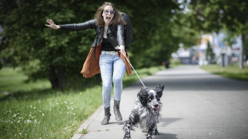 Fotografija: Ste kdaj doživeli, da vas je pes potegnil in vas je še cel dan bolela roka? FOTO: Shutterstock