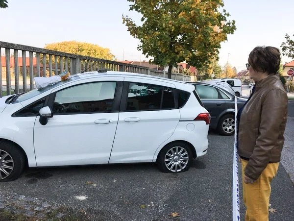 Poslanka in kandidatka za županjo Maribora je o grožnji obvestila policijo, ki zadevo preiskuje. FOTO: Luka Špoljar