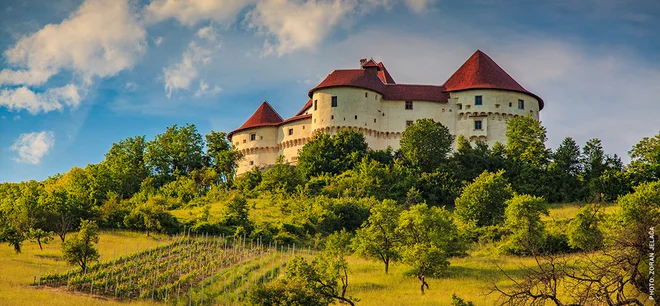 Veliki tabor Foto: Zoran Jelača