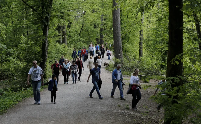 Pomen zelenih površin v urbanem okolju narašča. FOTO: Blaz Samec/Delo
