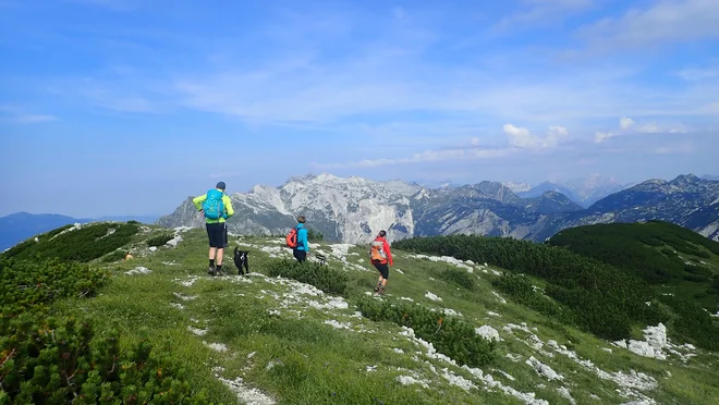 Pešpot Julijske Alpe bo vodila okoli Triglavskega narodnega parka. Foto Blaž Močnik