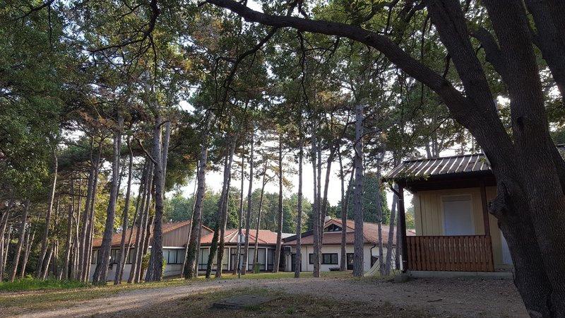 Fotografija: Počitniški dom stoji v raju na Zemlji. V lepem stoletnem borovem gozdu, v krajinskem parku Debeli rtič, v ohranjeni naravi, kakršne je na slovenski obali še zelo malo. FOTO: Boris Šuligoj