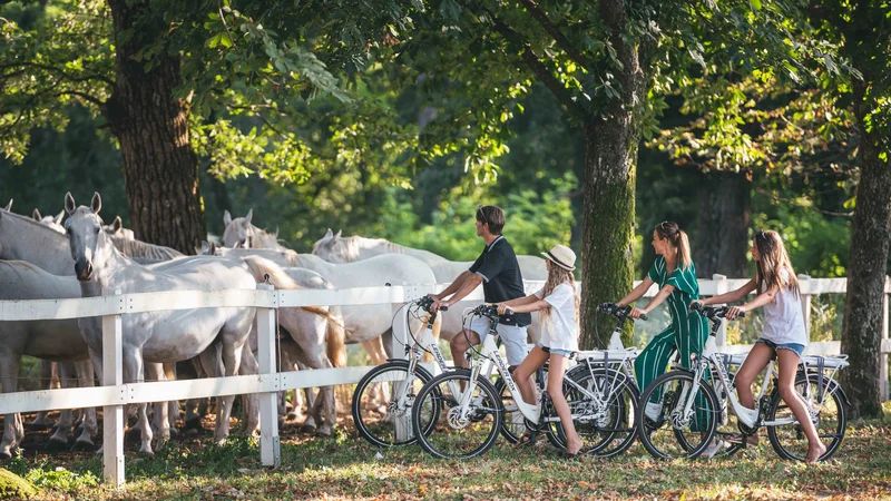 Fotografija: V okviru čezmejnega projekta MobiTour je po novem Lipico in okolico možno spoznavati tudi na električnih kolesih. Foto Vid Rotar/kobilarna Lipica